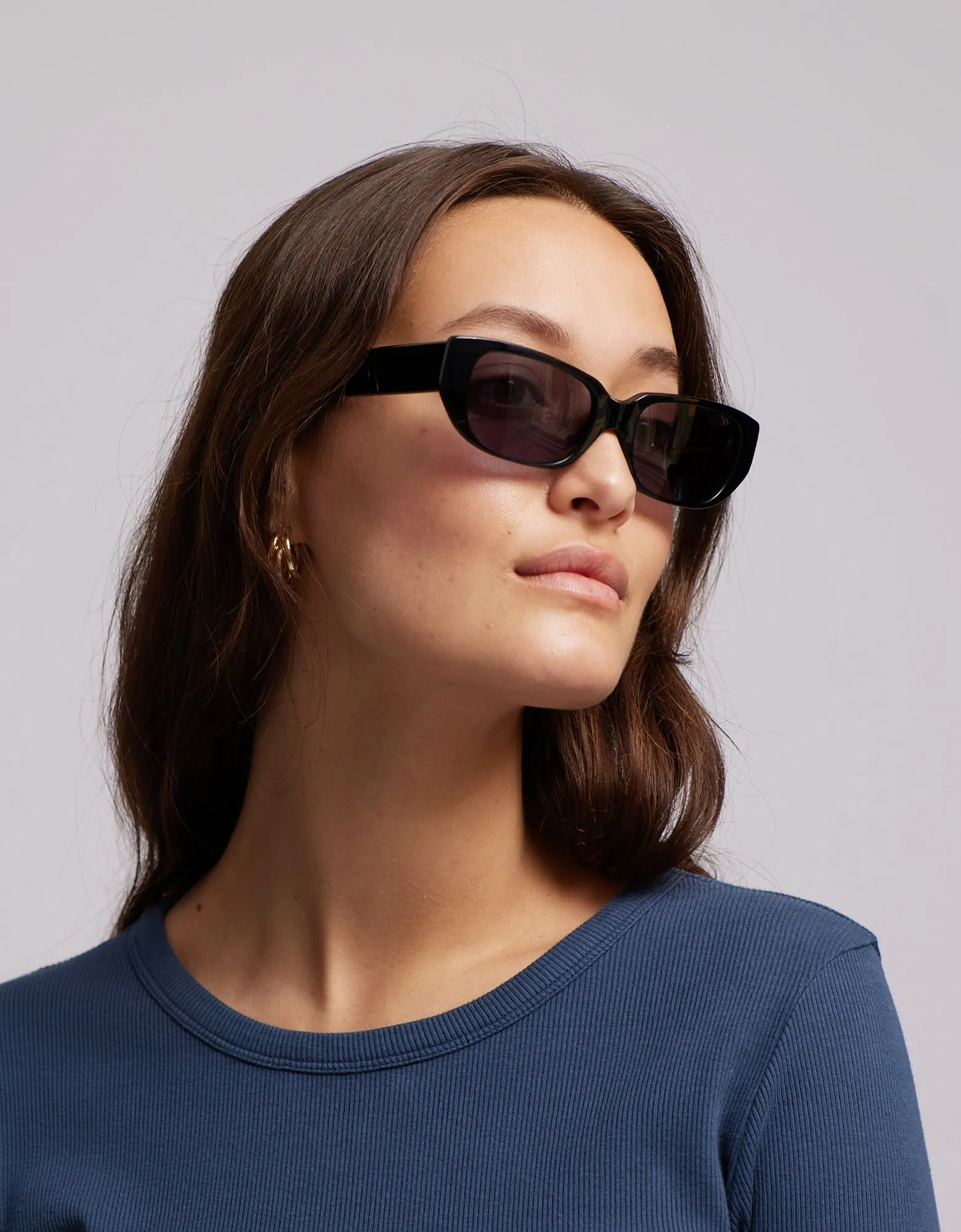 Sunglass 10 - Classic Havana - Brown