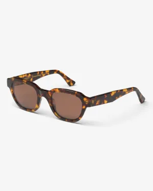 Sunglass 13 - Classic Havana - Brown