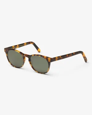 Sunglass 15 - Classic Havana - Green